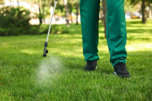 Best Pest Removal Services  in Berea, SC