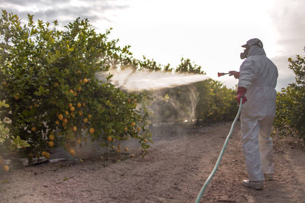 Professional Pest Control in Berea, SC