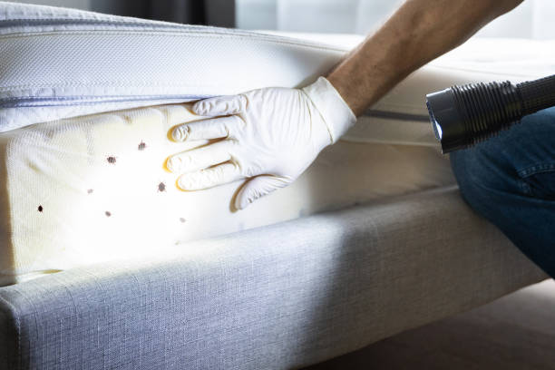 Best Best Pest Control Companies  in Berea, SC