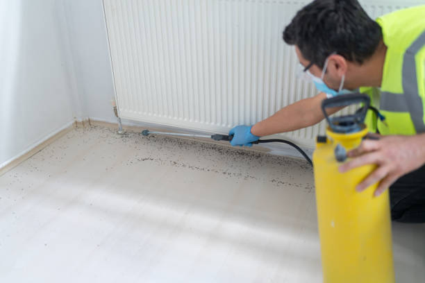Best Cockroach Control Services  in Berea, SC